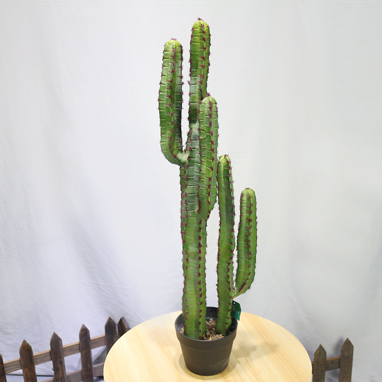 Cactus Saguaro de plástico de nuevo estilo - Compre planta de cactus artificial en Toronto Cactus and Succulent Club (4).jpg 